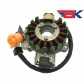 Stator Magneto Coil for Jianshe Loncin Bashan 300cc JS250 250cc ATV Quad Rocket Red Cat|Motorcycle Starter| - Ebikpro.com