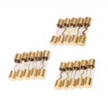 5Pcs Gold Plated Glass AGU Fuse Fuses Pack Car Audio Amp Amplifier 60 / 80 /100 AMP|Fuses| - ebikpro.com