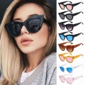 Vintage Cat Eye Brand Designer UV400 Protection Female Shades Sun Glasses Eyewear Sunglasses for Women| | - Ebikpro.com