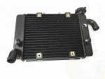 Radiator For Benelli Bj300 Bn302 Tornado Tnt300 Stels 300 / Bn Tnt 300 302 - Radiators & Parts - ebikpro.com