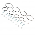 For BMW Twin Double Dual VANOS seals repair/upgrade kit M52TU M54 M56 Rattle Rings OEM 11361440142 Accesorios de coche|Cyl. Head