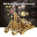 M8 Motorcycle Gold Screws Nut Outside Hex Head Cap Bolts Screws Hexagon 304 Stainless Steel M8*10/15/20/25/30/35/40/45/50/55mm|N