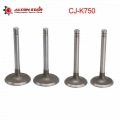 Alconstar 4 Pcs/Set Motorcycle Intake And Exhaust Valves For SV Flat head/Side valve Engine For BMW R1 R51 R72 Ural M1 M1M M72|