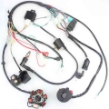 Full Complete Electrics Wiring Harness Cdi Stator 6 Coil For Motorcycle Atv Quad Pit Bike Buggy Go Kart 50 70 90 110 125cc - Mot