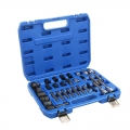 30pcs Alternator Freewheel Pulley Puller Alternators Tool Set Special Socket Set|Engine Care| - ebikpro.com