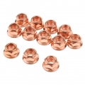 12x Copper Flashed Steel Exhaust Manifold Turbo Nuts M8 for BMW 3 Series E30|Exhaust Gaskets| - ebikpro.com