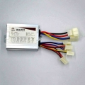 Electric Motor Brushed Speed Controller Box 24v/36v/48v 250w/350w/500w For Electric Bicycle/scooter/e-bike/motor Accessory - Ele